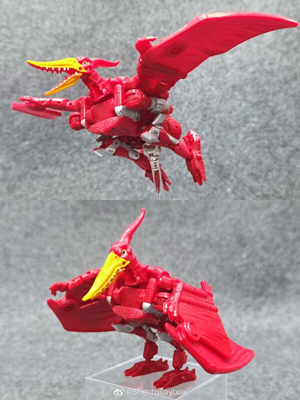 Transformers Golden Disk Collection Terrorsaur In Hand Image  (7 of 9)